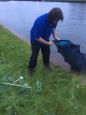 IMG-20170109-WA0008